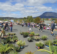 Hobart Showground Sunday Market - Weekly - Accommodation QLD