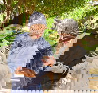 Hunter Valley Gardens Virtual Treasure Trail - Accommodation QLD