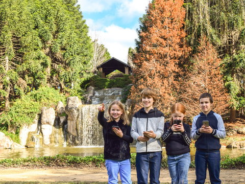 Hunter Valley Gardens Virtual Treasure Trail - Accommodation QLD 1