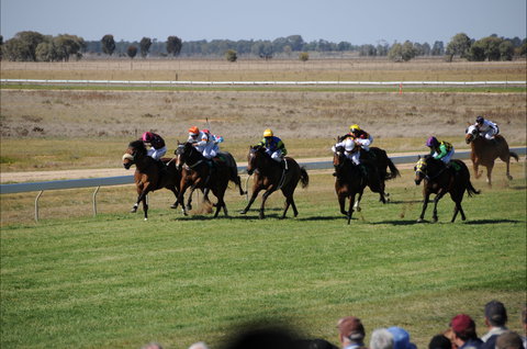 Jerilderie Gold Cup Races - Accommodation QLD 0