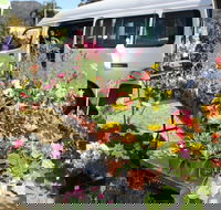 Johns River Country Markets - Accommodation QLD