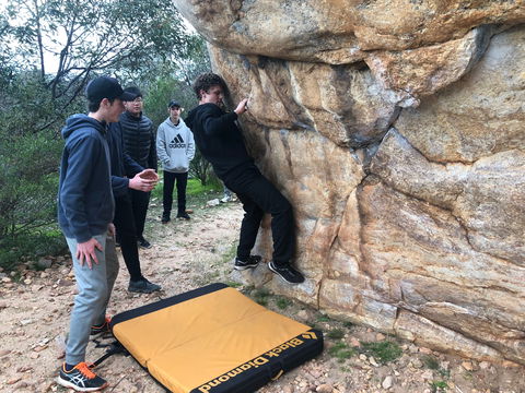 July 2020 Holidays- Forest Adventures Treasure Hunt - Accommodation QLD 1