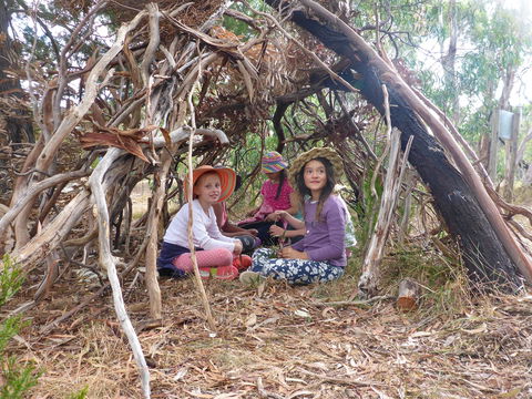 July 2020 Holidays- Forest Adventures Treasure Hunt - Accommodation QLD 2