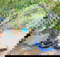 Jungle Love Festival - Accommodation QLD