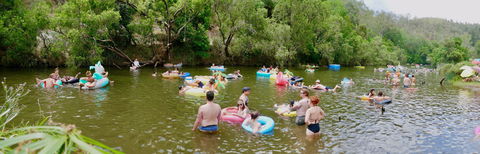 Jungle Love Festival - Accommodation QLD 1