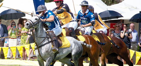 Land Rover Polo In The City Brisbane - Accommodation QLD 0