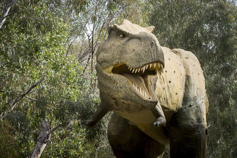 Lost Sanctuary At Healesville Sanctuary - Accommodation QLD 2