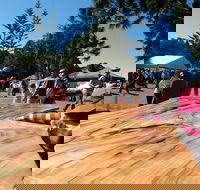 Maleny Wood Expo From Seed to Fine Furniture