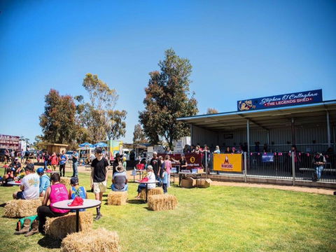 Mathoura Speed Shear And Annual Cancer Fundraiser - Accommodation QLD 0
