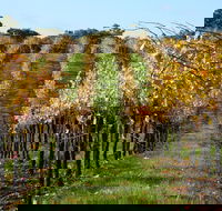 Miners Ridge Wine Tasting - Accommodation QLD