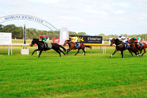 Moruya Cup - Accommodation QLD 2