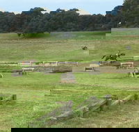 Mount Gambier and District Pony Club Horse Trials 2020 - Accommodation QLD
