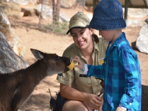 Mums And Cubs! And Dads Too! - Accommodation QLD 0