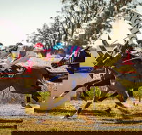 Mungery Picnic Races - Accommodation QLD