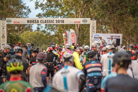 Noosa Classic - Accommodation QLD 1