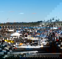 Ocean Harvest Festival - Accommodation QLD