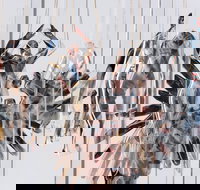 Pulse Perspectives - Virtual Exhibition - Accommodation QLD