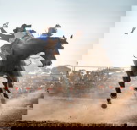 Rodeo by the Sea - Streaky Bay - Accommodation QLD