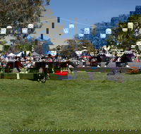 Sakura Matsuri  - Cherry Blossom Festival - in doubt due to Covid-19