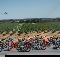 Santos Tour Down Under - Accommodation QLD