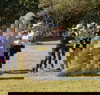 Sculpture for Clyde - Outdoor Exhibition - Accommodation QLD