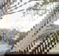 Sculptures in the Garden