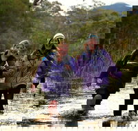 Serra Terror - Accommodation QLD