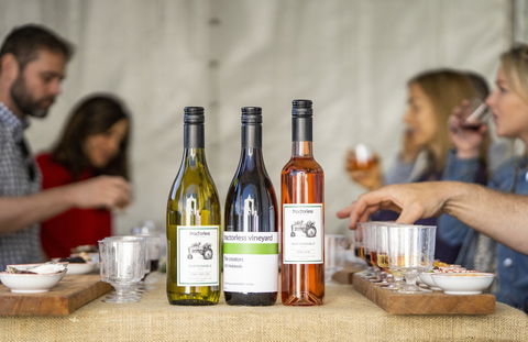 Southern Highlands Food And Wine Festival - Accommodation QLD 2