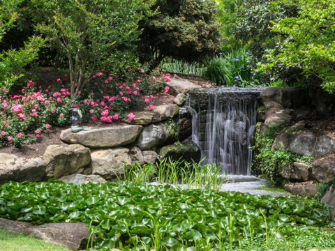 Spring Time At Hunter Valley Gardens - Accommodation QLD 1