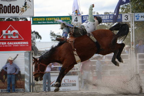 Stroud Rodeo And Campdraft - Accommodation QLD 0
