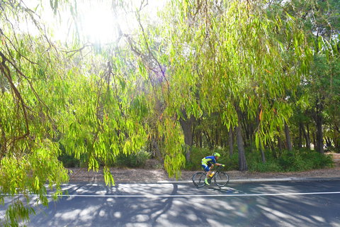 SunSmart FunMan Triathlon - Accommodation QLD 0