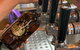 Takeaway At Coldstream Brewery - thumb 1