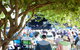 Ten Days On The Island  Tasmania’s Arts Festival - thumb 2