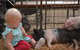 The Gunnedah Show - thumb 1