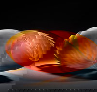 Tom Malone Prize - Accommodation QLD