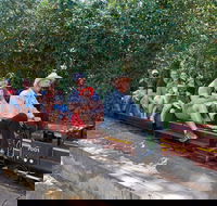 Twilight Run   Willans Hill Miniature Railway - Accommodation QLD
