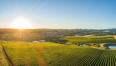 Wine And Food At Altitude - Accommodation QLD 0