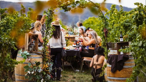Wine Machine - NEW DATE - Accommodation QLD 1