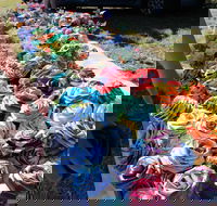 Wynyard Foreshore Market - Accommodation QLD