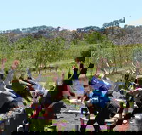 Yoga in the Vines - Accommodation QLD