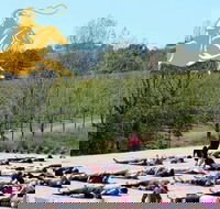 Yoga in the Vines - Accommodation QLD