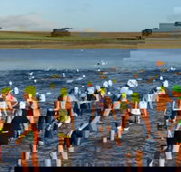 Yungaburra Triathlon - Accommodation QLD
