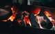 Bonfire, Bush Poet And Barbecue Under The Stars - thumb 0