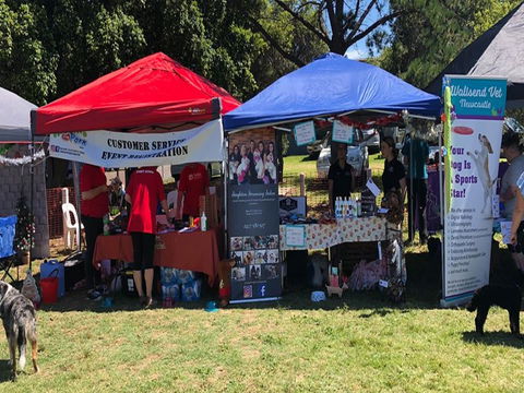 Dogs In The Park NSW Orange - Accommodation QLD 1