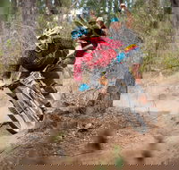 Fox Superflow sealed by Stan's Race  Greenvalleys