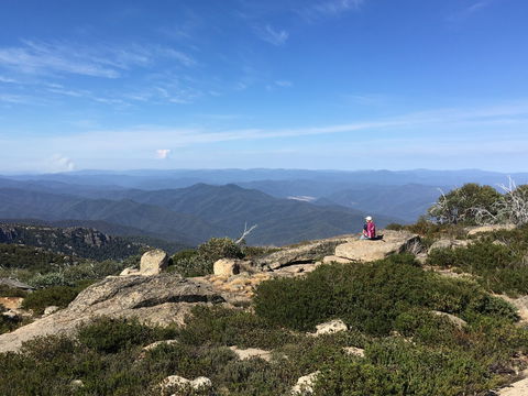 Hedonistic Hiking's Buffalo And Bubbles - Accommodation QLD 1