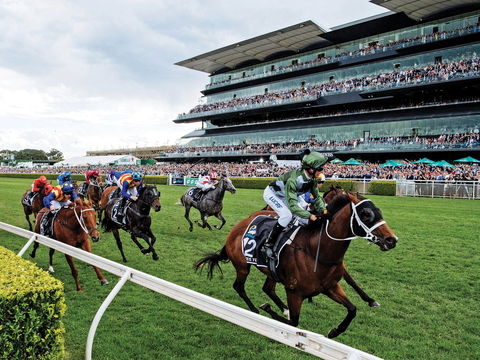 The Everest - Accommodation QLD 0