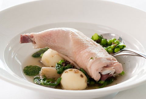 ROCKET Restaurant - Accommodation QLD 3