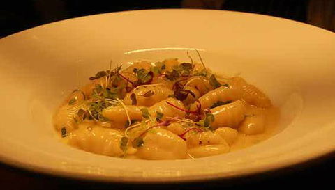 Aquacotta Italian Restaurant - Accommodation QLD 1