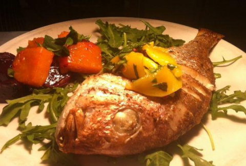 Dish Pizza & Gelato - Accommodation QLD 1